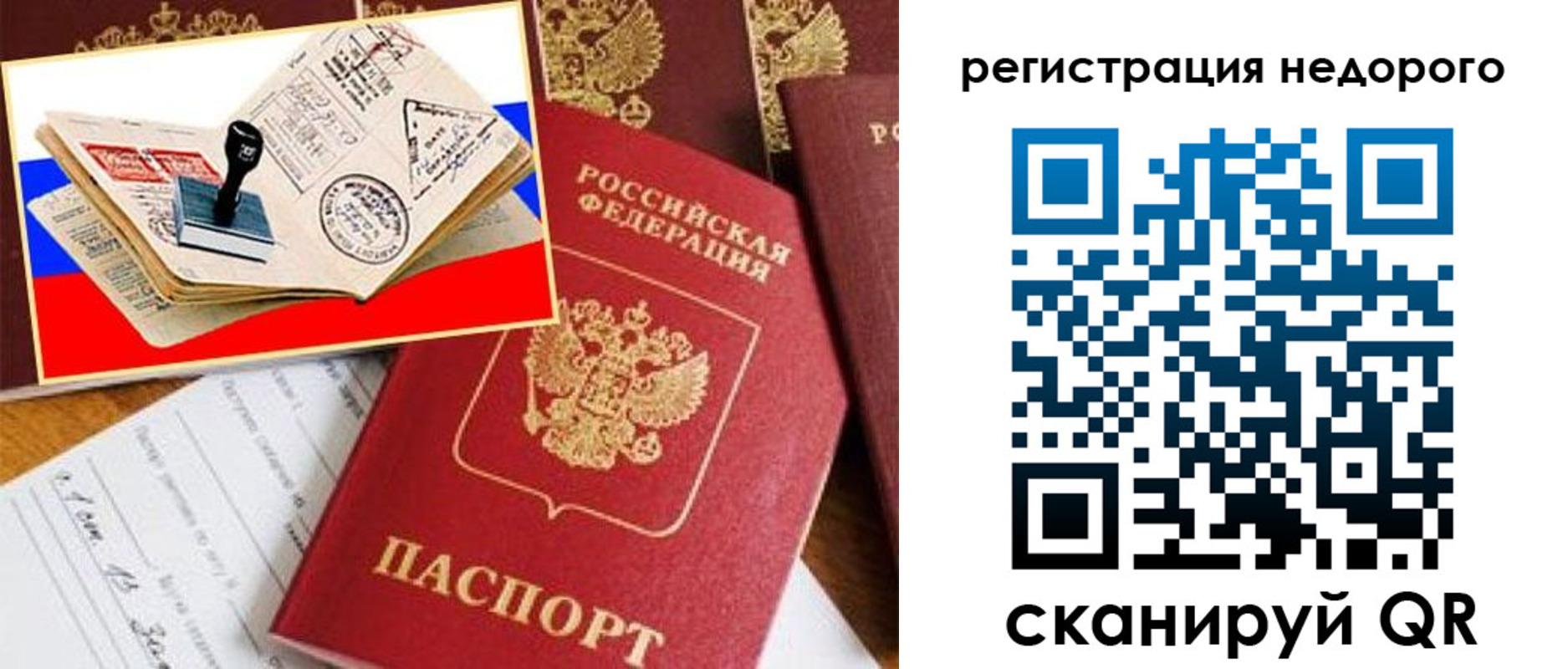 прописка иностранных граждан в Кингисеппе